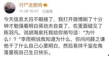 今日吃瓜全部视频最新版,最新视频版精彩回顾，揭秘娱乐圈幕后故事